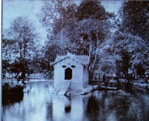Svanhuset före 1887