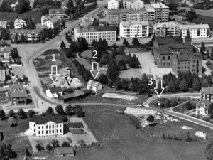 Salem, Dövstumsskolan, Äppelträd – 1930-talet