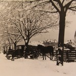 Snötransport med häst och släde