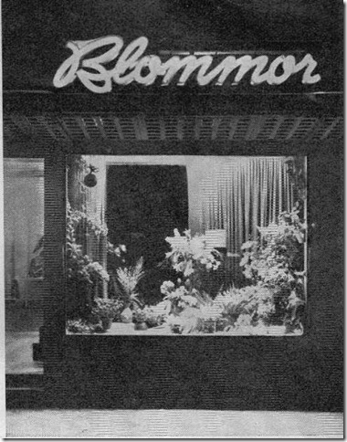 Blommor
