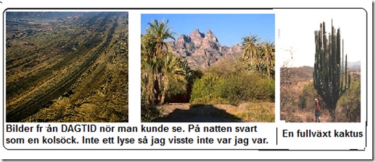 Bilder_fran_dagtid 3 st